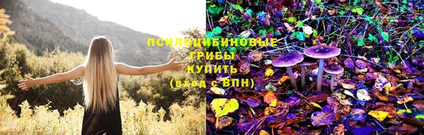 первитин Белоозёрский