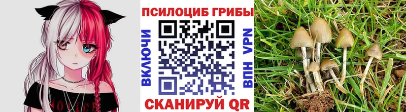 Купить закладки  Тарко-Сале  Галлюциногенные грибы Psilocybine cubensis 