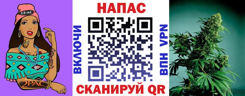Шишки марихуана MAZAR  Купить где  Тарко-Сале 